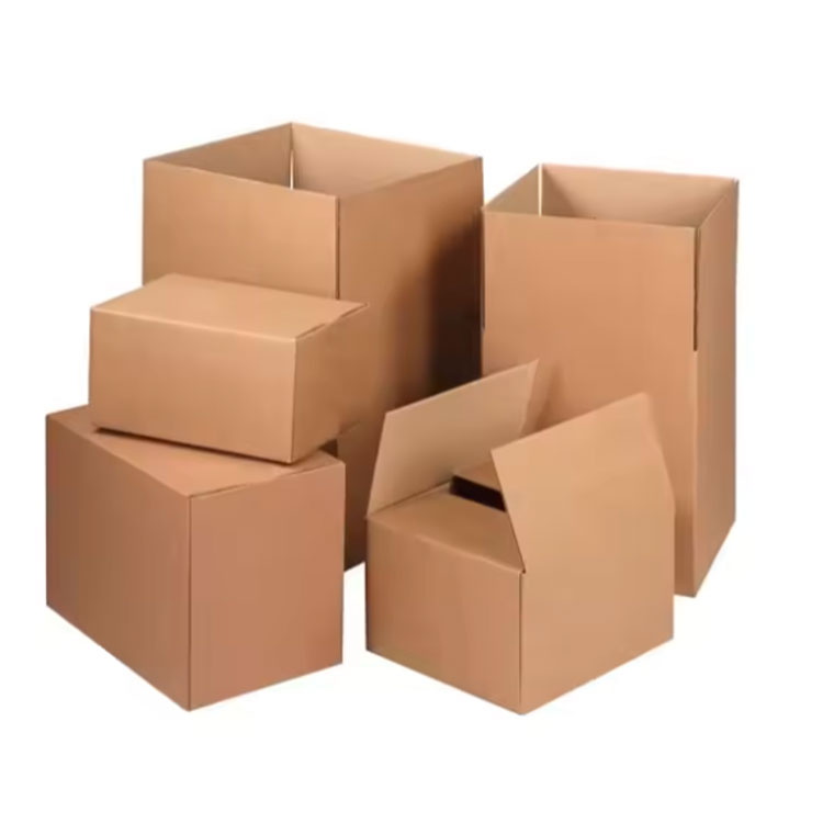 Corrugated Cardboard Shipping Pyxidas